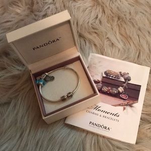 pandora bracelet charms not included